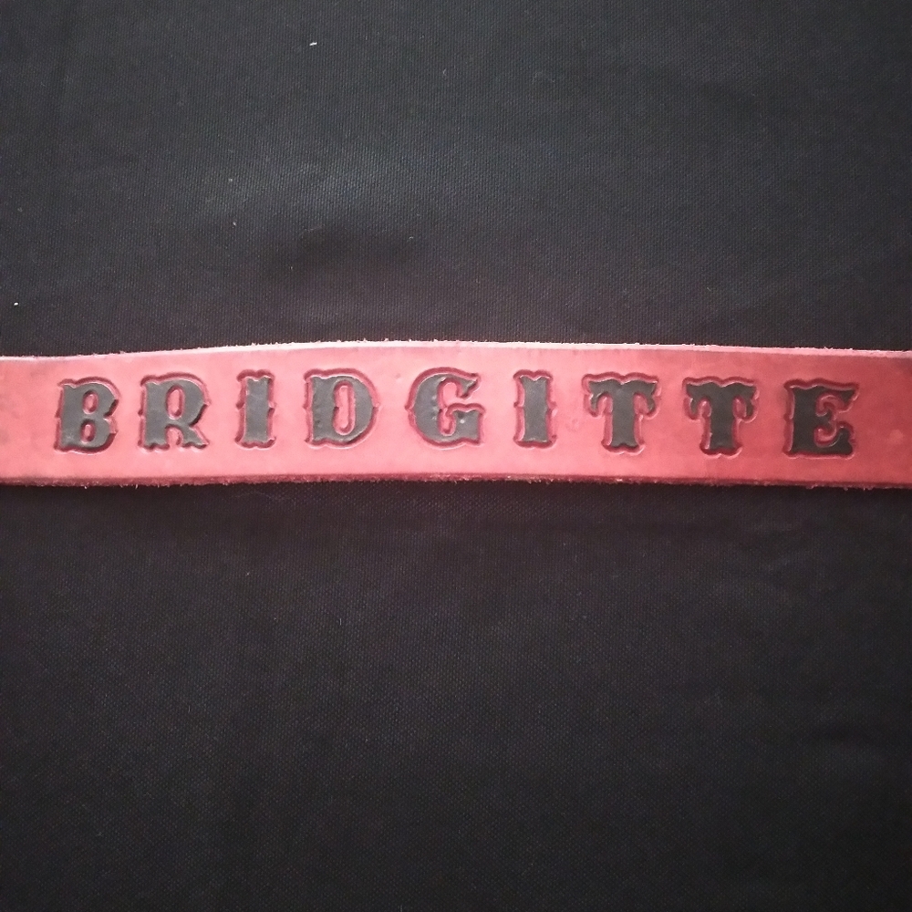 Custom Leather Dog Collar